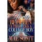 Torn Between A Thug And A College Boy: An Urban Romance: Standalone - Paperback