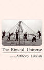The Rigged Universe - Paperback