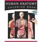 Human Anatomy Coloring Book: The Ultimate Human Body Anatomy and Physiology Coloring with Labels, for Beginners, Adults, Medical Students, Nurses - Paperback