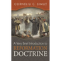 A Very Brief Introduction to Reformation Doctrine - Paperback