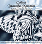 Collect Beautiful Moments: Faith-Based Guided Journal - Hardcover