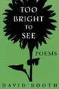 Too Bright to See - Paperback