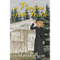 A Version of the Truth - Paperback