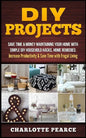 DIY Projects: Save Time & Money Maintaining Your Home With Simple DIY Household Hacks, Home Remedies: Increase Productivity & Save T - Paperback