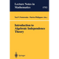 Introduction to Algebraic Independence Theory - Paperback