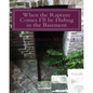When the Rapture Comes I'll be Hiding in the Basement - Paperback