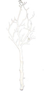 26 inch White Leafless Branch