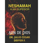 Neshamah Alma Superior: Adn de Dios Perspectiva Hebrea Vol 2 - Paperback