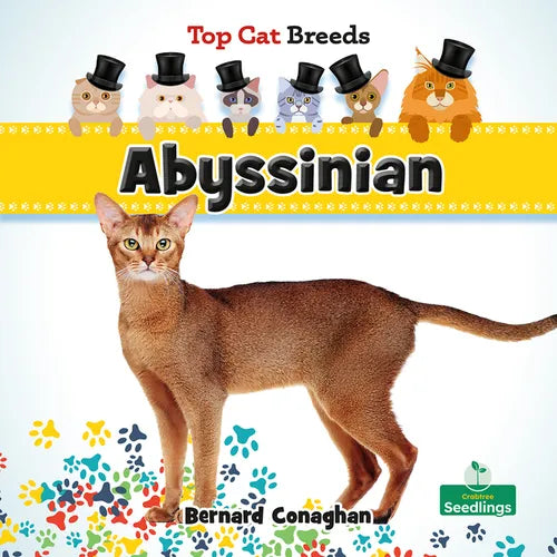 Abyssinian - Hardcover