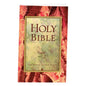 Holy Bible-NRSV - Paperback