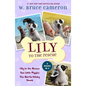 Lily to the Rescue Bind-Up Books 1-3: Lily to the Rescue, Two Little Piggies, and the Not-So-Stinky Skunk - Paperback