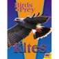Kites - Library Binding