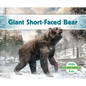 Giant Short-Faced Bear - Library Binding