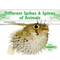 Different Spikes & Spines of Animals - Library Binding