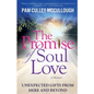 The Promise of Soul Love: Unexpected Gifts From Here and Beyond - Paperback