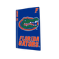 Florida Gators PS5 VarsityWrapz