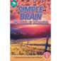 Simple Brain Puzzle Kings Vol 1: Crossword Puzzles Hard Edition - Paperback