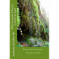 Rheumatoid Disease Cured At Last! - Paperback