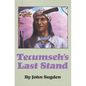 Tecumseh's Last Stand - Paperback