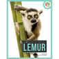 Lemur - Hardcover