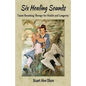 Six Healing Sounds: Taoist Breathing Therapy for Health and Longevity - Paperback
