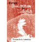 From Immigration to Suburbia - Paperback