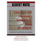 IT Management: The Art of Success Through Team Synergy - Paperback