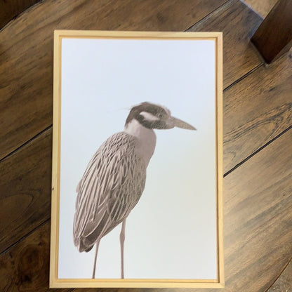 Framed Canvas Wall Art