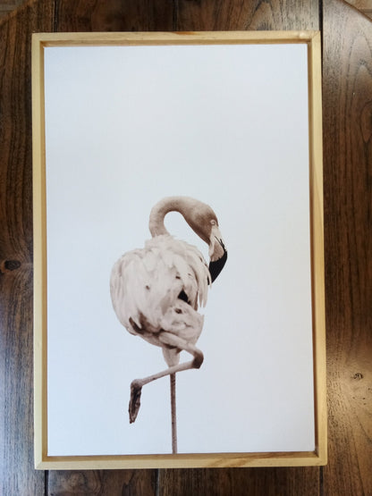 Framed Canvas Wall Art
