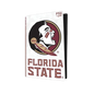 FSU Seminoles PS5 VarsityWrapz