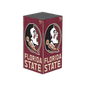 FSU Seminoles Edition Xbox VarsityWrapz