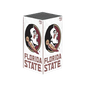 FSU Seminoles Edition Xbox VarsityWrapz