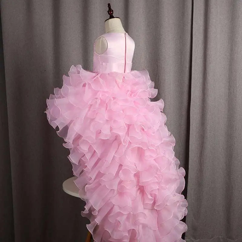 Fuchsia Layered Ruffled Dress Flower Girl Tuxedo