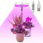 Full Spectrum LED Halo Plant Light With Stand Height Adjustable Auto Timer