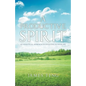 A Productive Spirit: An Analytical Approach to Investing in Your Life - Paperback