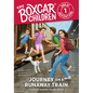 Journey on a Runaway Train - Library Binding