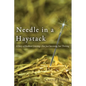 Needle in a Haystack: A Story of Resilient Grieving--Not Just Surviving, but Thriving - Paperback