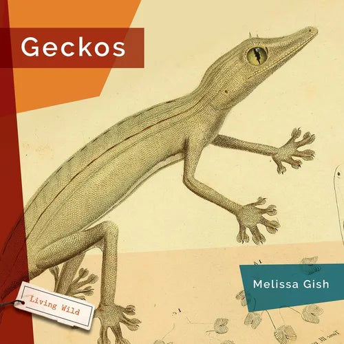 Geckos - Hardcover