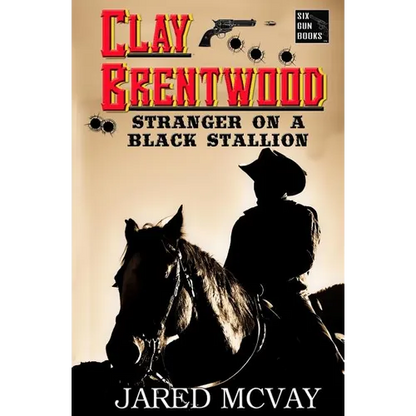 Stranger on a Black Stallion - Paperback