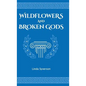 Wildflowers and Broken Gods - Hardcover