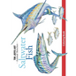 Saltwater Fish Coloring Book - Paperback