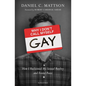 Why I Don't Call Myself Gay: How I Reclaimed My Sexual Reality and Found Peace - Paperback