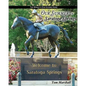 Our Summer in Saratoga Springs: The City of: Health History & Horses - Paperback