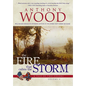 The Fire that Calms the Storm: A Story of the Civil War - Hardcover
