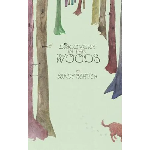 Discovery In The Woods: A St. Patrick's Day Surprise - Paperback