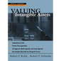 Valuing Intangible Assets - Hardcover