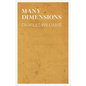 Many Dimensions - Paperback