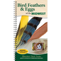 Bird Feathers & Eggs of the Midwest: Identify 40 Species of Common Backyard Birds - Spiral