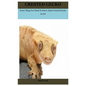 Crested Gecko: Every Thing You Need To Know About Crested Gecko As Pet - Paperback