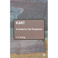 Kant: A Guide for the Perplexed - Paperback